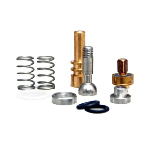 Rebuild Kit Steam Valve Gs3